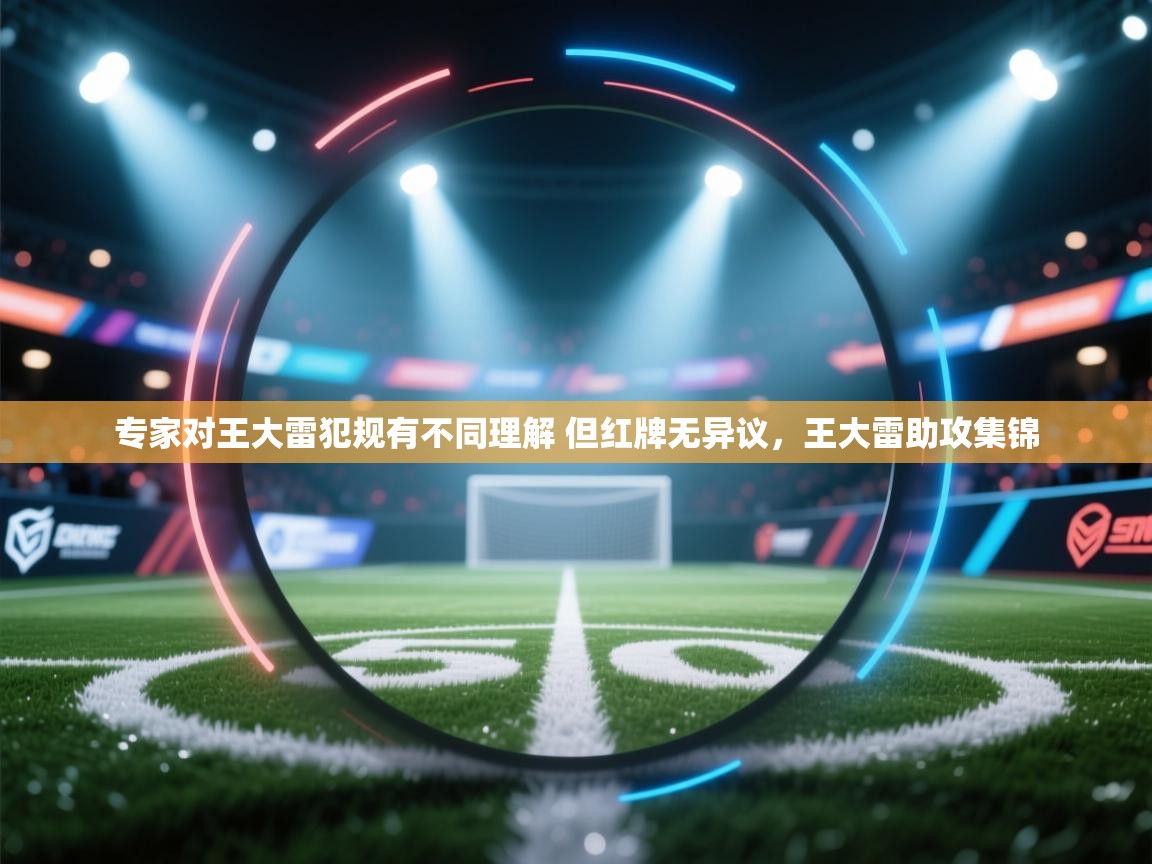欢娱游戏平台-专家对王大雷犯规有不同理解 但红牌无异议，王大雷助攻集锦
